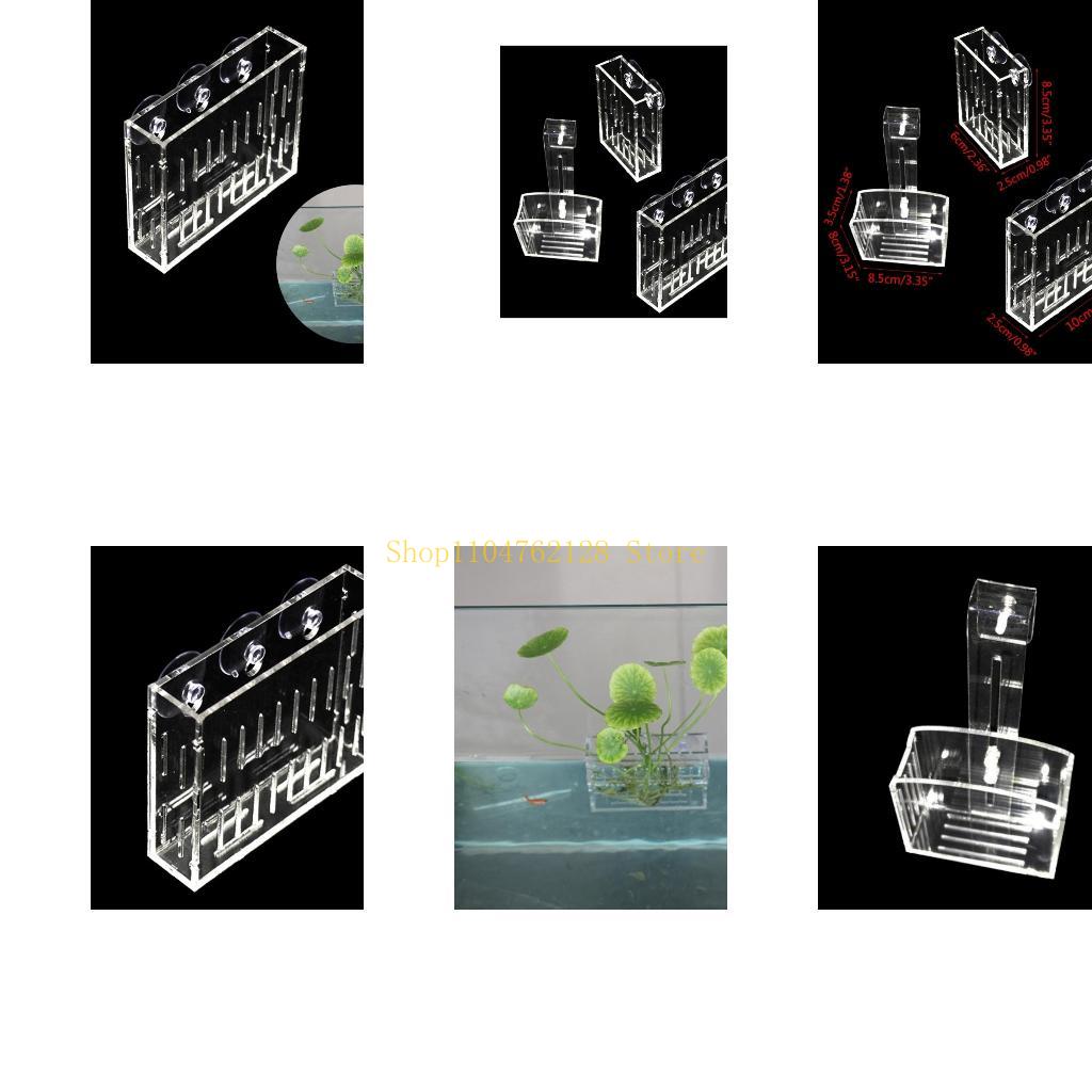 Planted Aquarium For Sale - 식물 장식 컵 수족관을위한 슬롯 식물