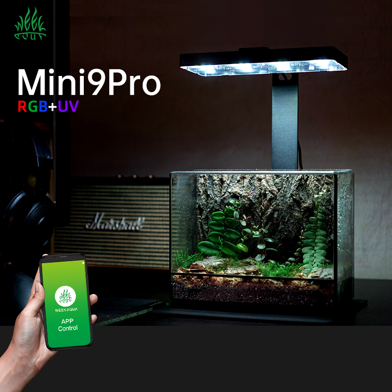 Planted Aquarium For Sale - 핫세일 미니9프로 나노 테라리움 라이트 USB
