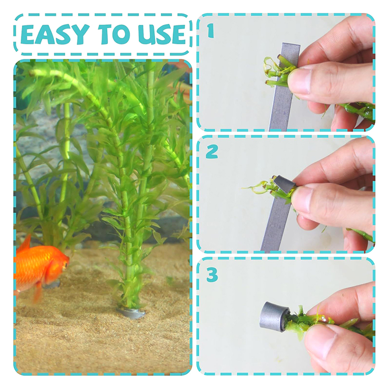 Planted Aquarium For Sale - * 새로운 판매 상품 10개입 유연하고