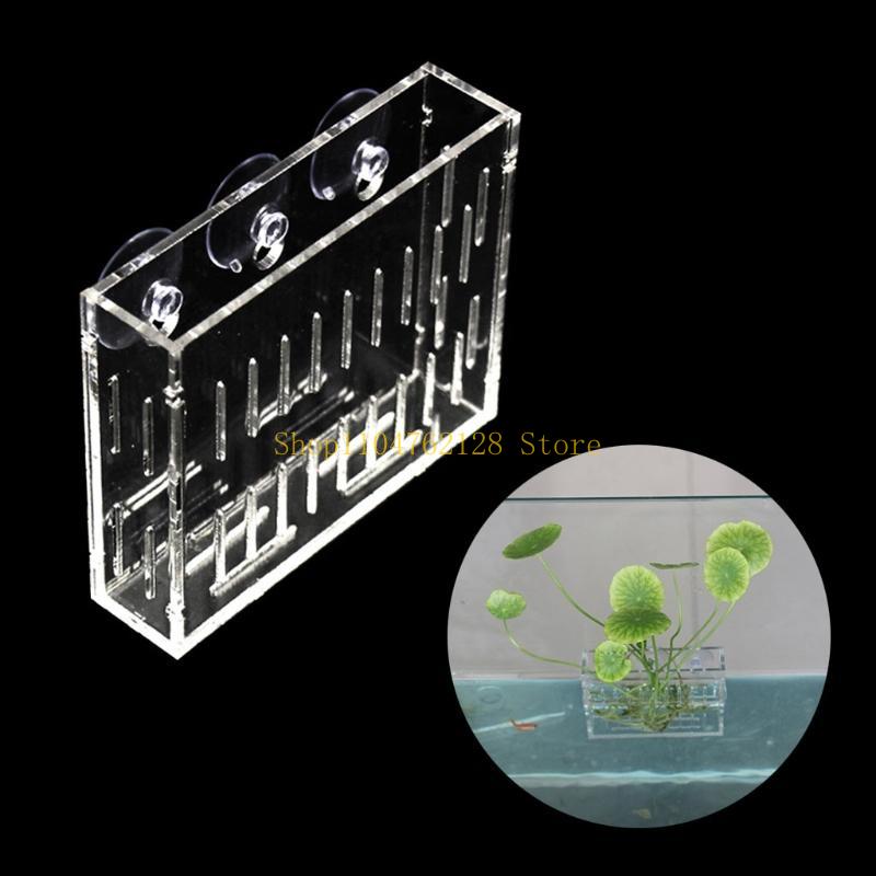 식물 장식 컵 수족관을위한 슬롯 식물 홀더가있는 식물  - Planted Aquarium For Sale 리뷰 및 가격