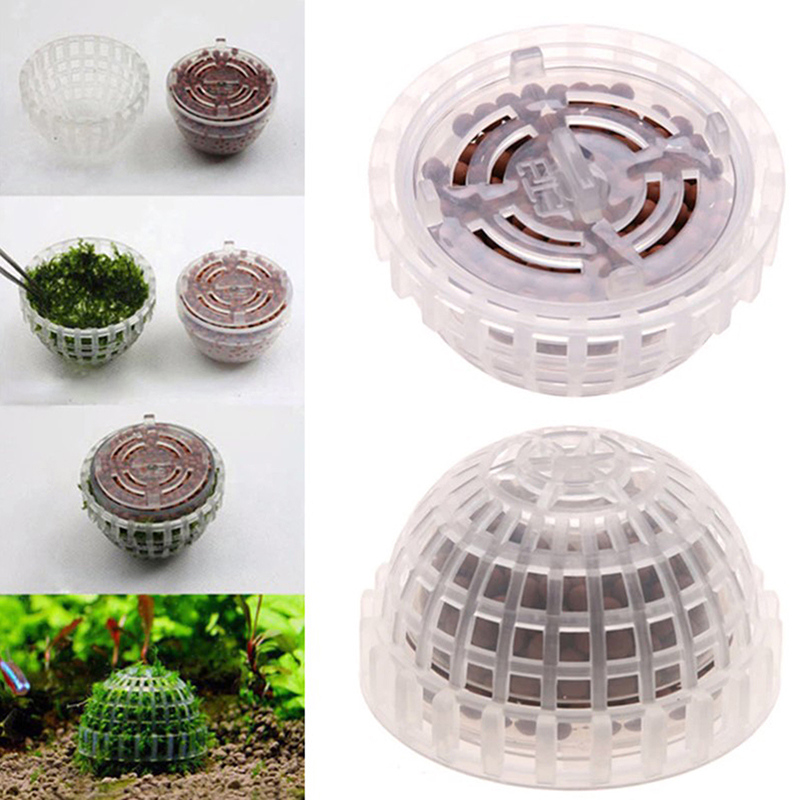 핫세일 수족관 용품 장식 아쿠아리움 모스볼 생물 식물  - Planted Aquarium For Sale 리뷰 및 가격