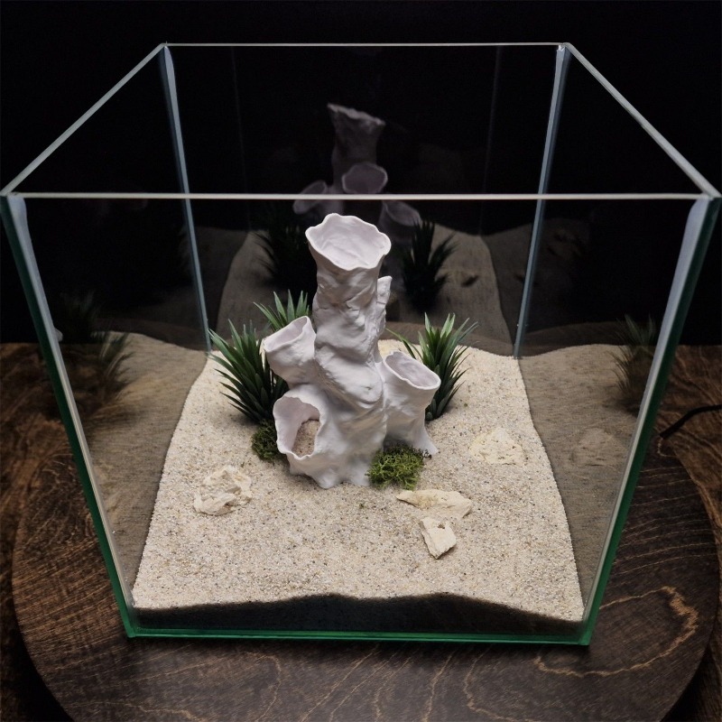 핫세일 3D 프린팅 산호 터널 은신처 나무 식물 장식  - Planted Aquarium For Sale 리뷰 및 가격