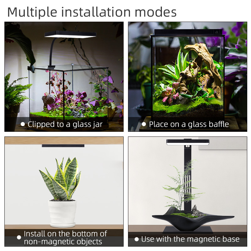 핫세일 미니9프로 나노 테라리움 라이트 USB 실내 식 - Planted Aquarium For Sale 리뷰 및 가격