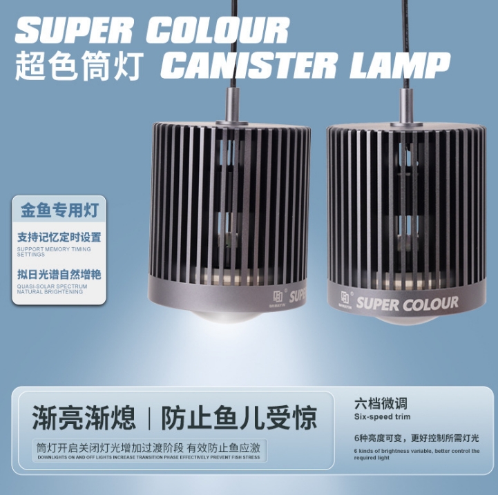 LED 슈퍼 컬러 3D 특가 판매 어항 산호초 해양 식 - Planted Aquarium For Sale 리뷰 및 가격