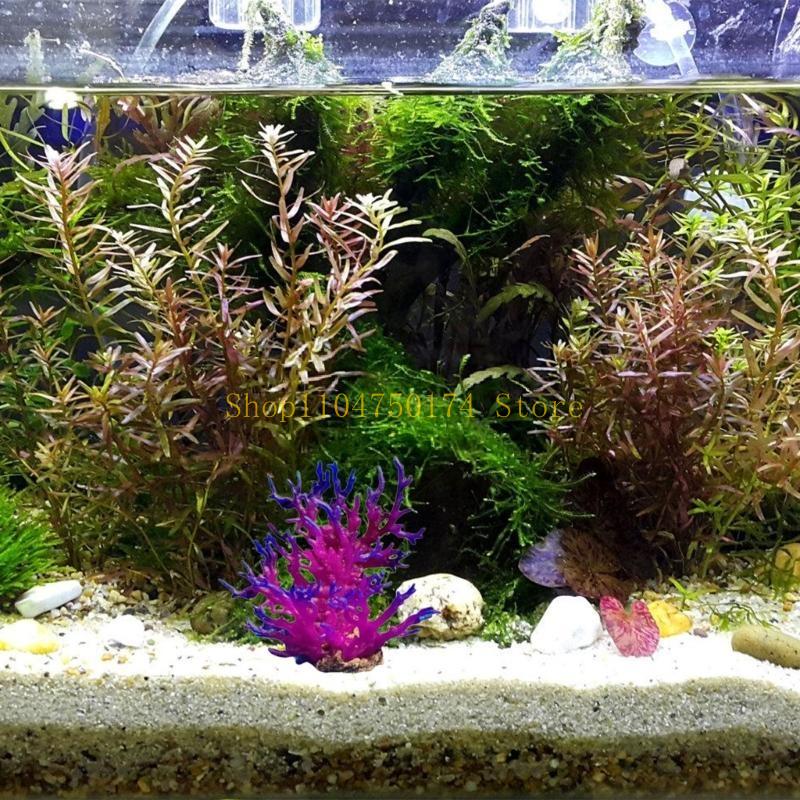 인공 나무 장식 식물 다채로운 나무 장식품 식물 조경  - Planted Aquarium For Sale 리뷰 및 가격