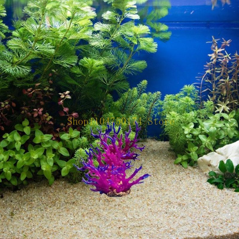 인공 나무 장식 식물 다채로운 나무 장식품 식물 조경  - Planted Aquarium For Sale 리뷰 및 가격