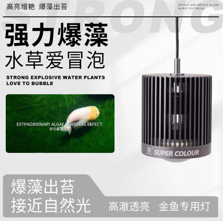 MAYIN LED 슈퍼 컬러 3D 뜨거운 판매 물고기  - Planted Aquarium For Sale 리뷰 및 가격